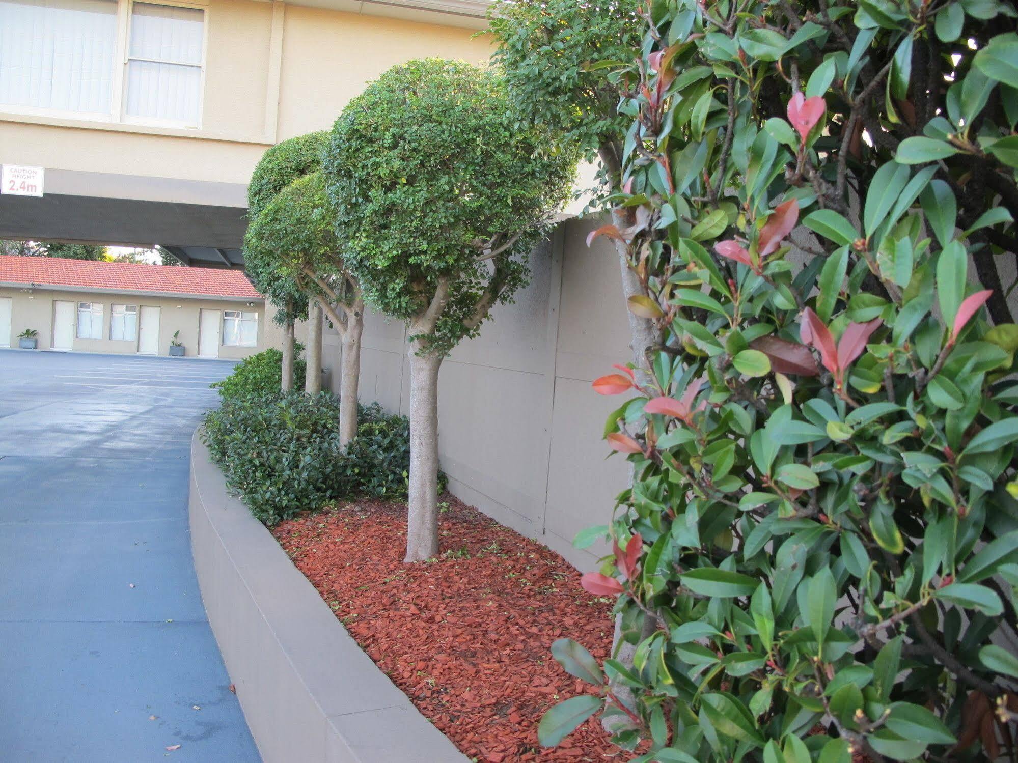Cessnock Motel Exterior foto
